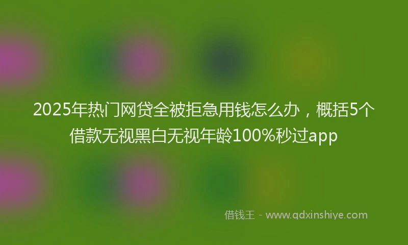 2025年热门网贷全被拒急用钱怎么办，概括5个借款无视黑白无视年龄100%秒过app