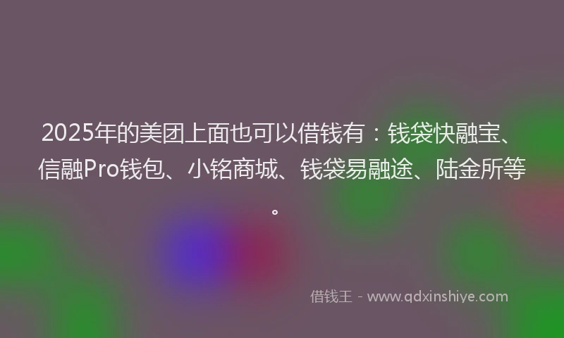 2025年的美团上面也可以借钱有：钱袋快融宝、信融Pro钱包、小铭商城、钱袋易融途、陆金所等。