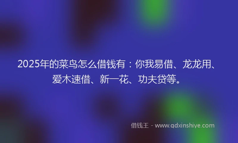 2025年的菜鸟怎么借钱有：你我易借、龙龙用、爱木速借、新一花、功夫贷等。