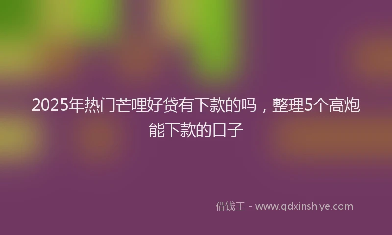 2025年热门芒哩好贷有下款的吗，整理5个高炮能下款的口子