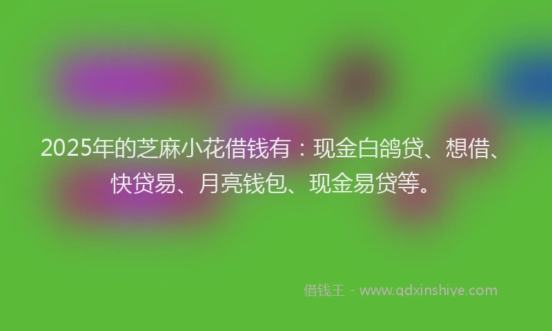 2025年的芝麻小花借钱有：现金白鸽贷、想借、快贷易、月亮钱包、现金易贷等。