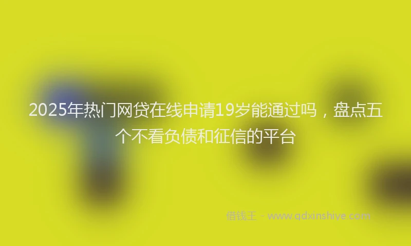 2025年热门网贷在线申请19岁能通过吗，盘点五个不看负债和征信的平台