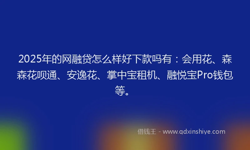 2025年的网融贷怎么样好下款吗有：会用花、森森花呗通、安逸花、掌中宝租机、融悦宝Pro钱包等。
