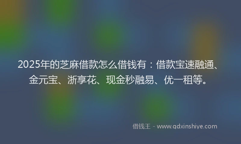 2025年的芝麻借款怎么借钱有：借款宝速融通、金元宝、浙享花、现金秒融易、优一租等。