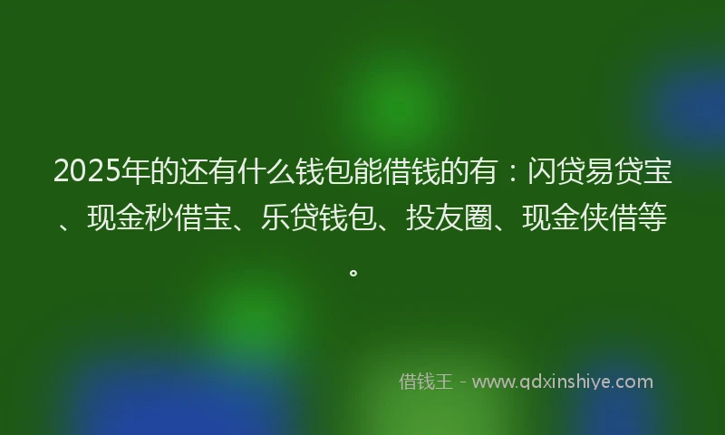 2025年的还有什么钱包能借钱的有：闪贷易贷宝、现金秒借宝、乐贷钱包、投友圈、现金侠借等。