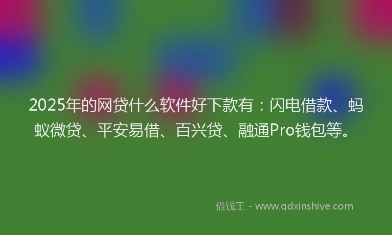 2025年的网贷什么软件好下款有：闪电借款、蚂蚁微贷、平安易借、百兴贷、融通Pro钱包等。