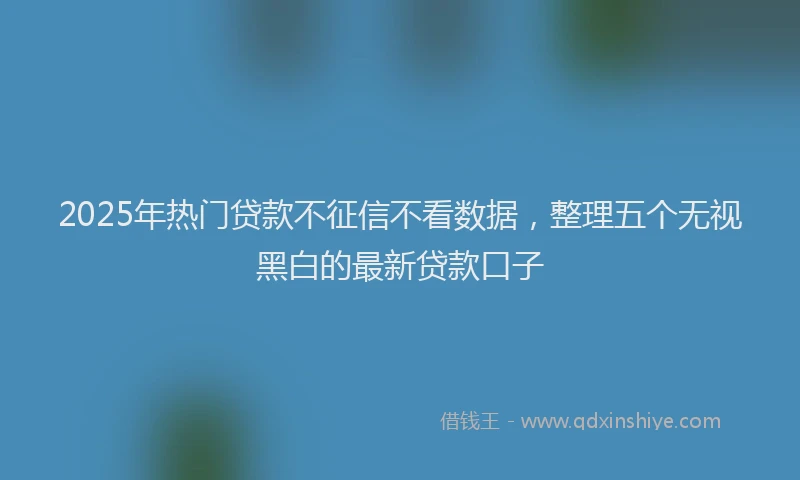 2025年热门贷款不征信不看数据，整理五个无视黑白的最新贷款口子