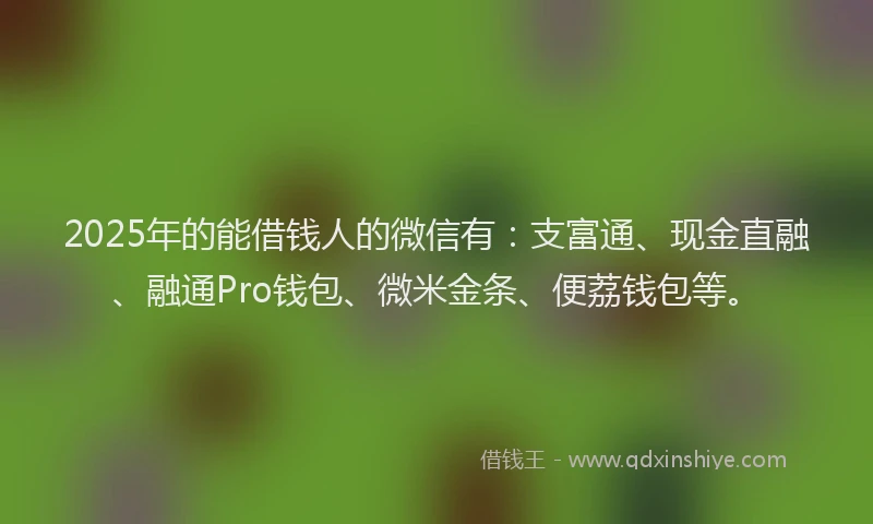 2025年的能借钱人的微信有：支富通、现金直融、融通Pro钱包、微米金条、便荔钱包等。