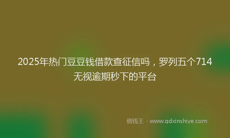 2025年热门豆豆钱借款查征信吗，罗列五个714无视逾期秒下的平台
