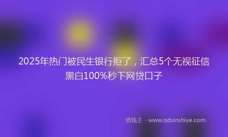 2025年热门被民生银行拒了，汇总5个无视征信黑白100%秒下网贷口子