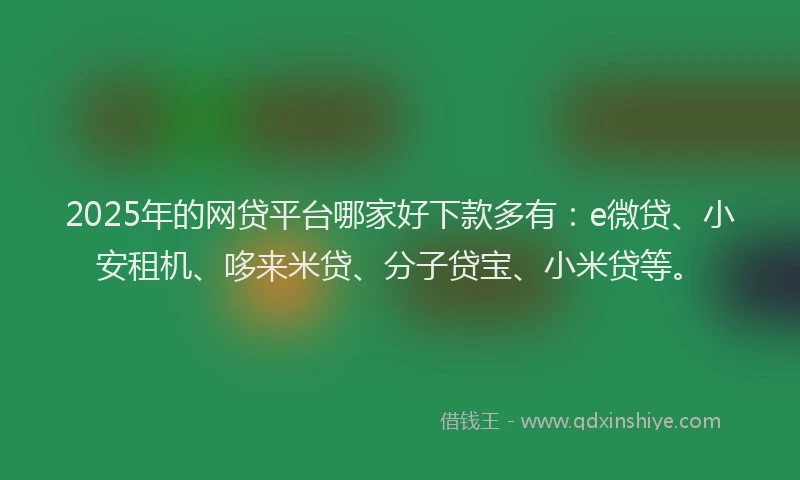 2025年的网贷平台哪家好下款多有：e微贷、小安租机、哆来米贷、分子贷宝、小米贷等。