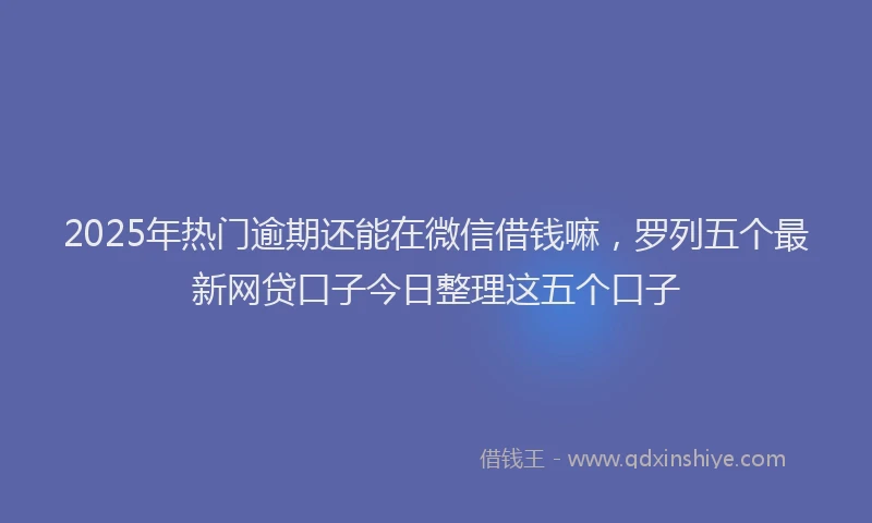 2025年热门逾期还能在微信借钱嘛，罗列五个最新网贷口子今日整理这五个口子