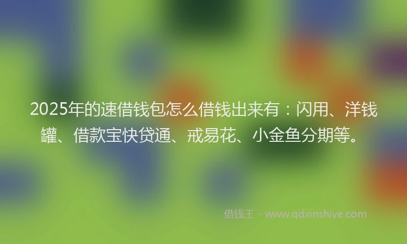 2025年的速借钱包怎么借钱出来有：闪用、洋钱罐、借款宝快贷通、戒易花、小金鱼分期等。