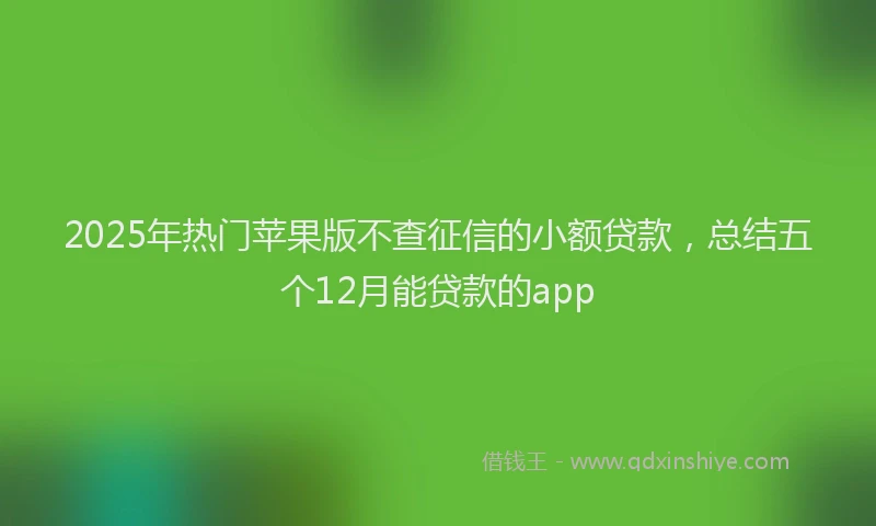 2025年热门苹果版不查征信的小额贷款，总结五个12月能贷款的app