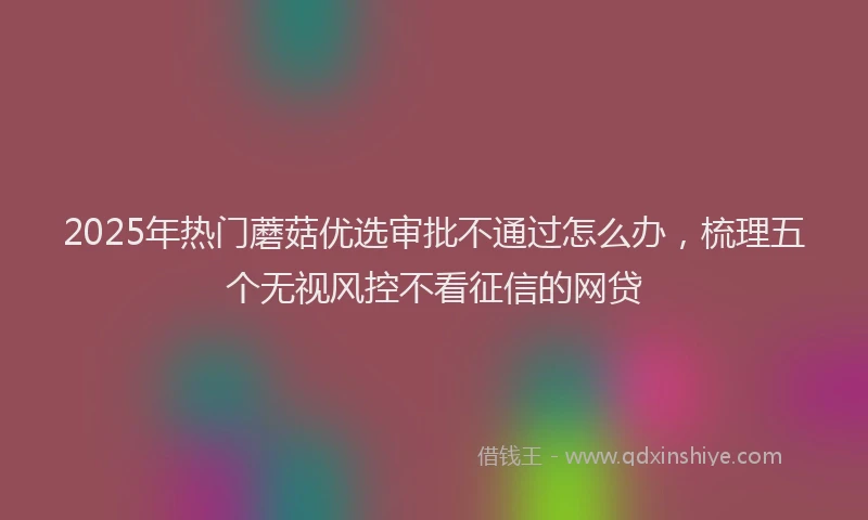 2025年热门蘑菇优选审批不通过怎么办，梳理五个无视风控不看征信的网贷