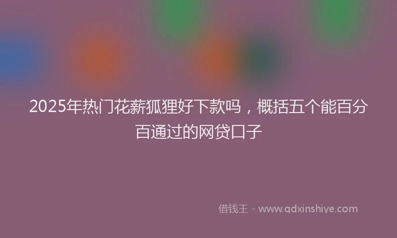 2025年热门花薪狐狸好下款吗，概括五个能百分百通过的网贷口子