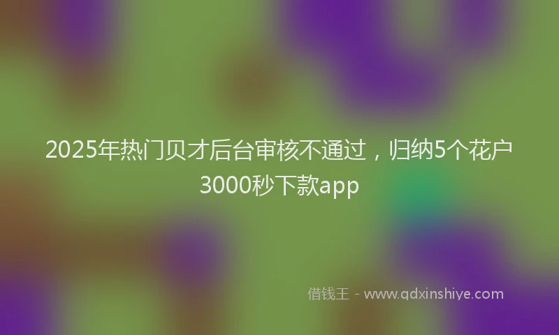 2025年热门贝才后台审核不通过，归纳5个花户3000秒下款app