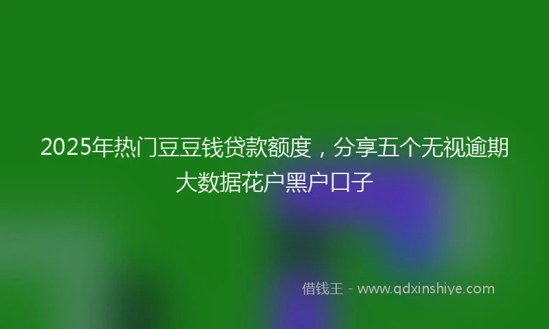 2025年热门豆豆钱贷款额度，分享五个无视逾期大数据花户黑户口子