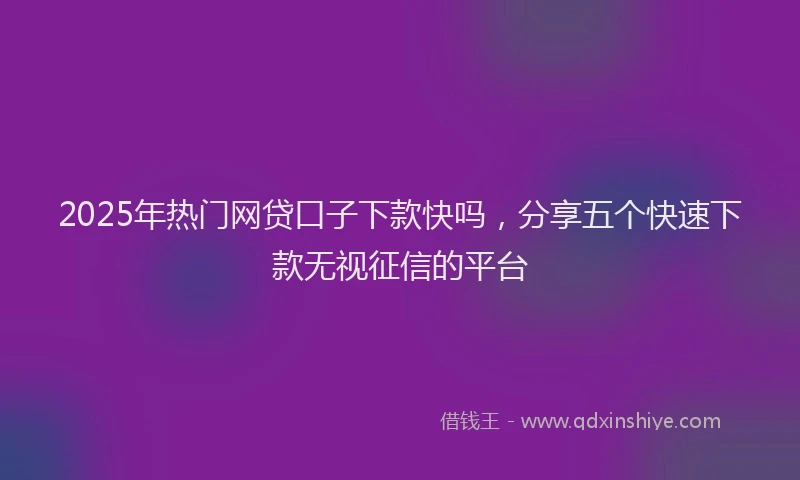 2025年热门网贷口子下款快吗，分享五个快速下款无视征信的平台
