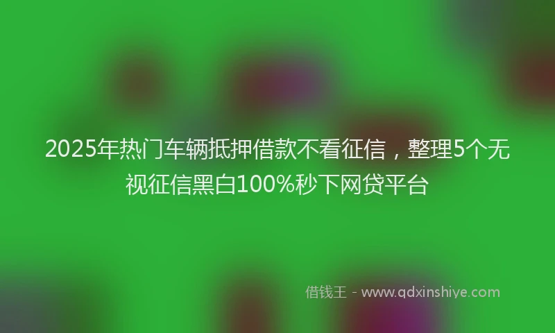 2025年热门车辆抵押借款不看征信，整理5个无视征信黑白100%秒下网贷平台