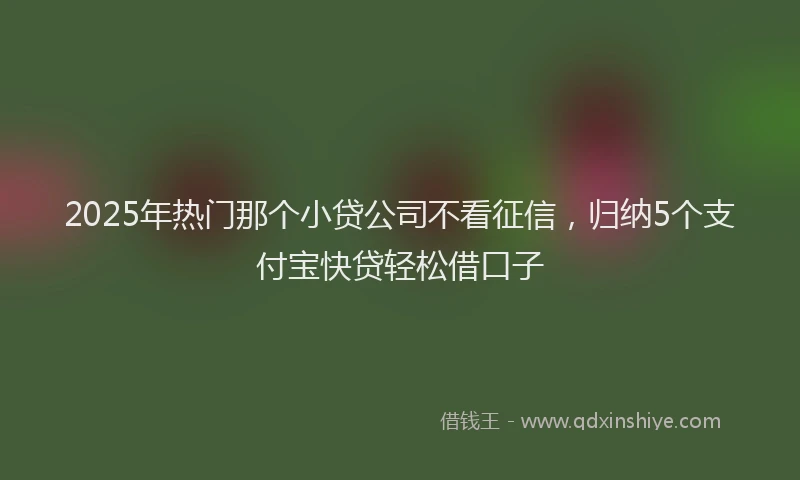 2025年热门那个小贷公司不看征信，归纳5个支付宝快贷轻松借口子