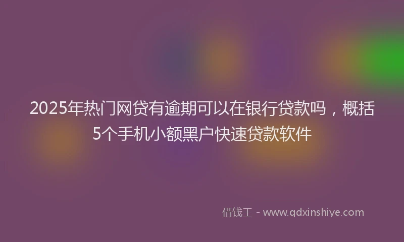 2025年热门网贷有逾期可以在银行贷款吗，概括5个手机小额黑户快速贷款软件