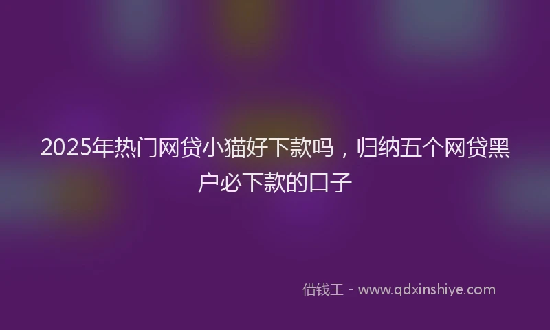 2025年热门网贷小猫好下款吗，归纳五个网贷黑户必下款的口子
