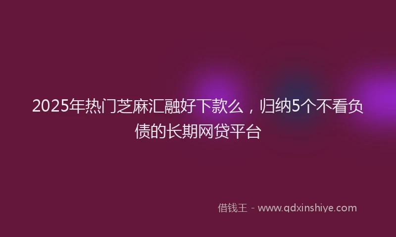 2025年热门芝麻汇融好下款么，归纳5个不看负债的长期网贷平台