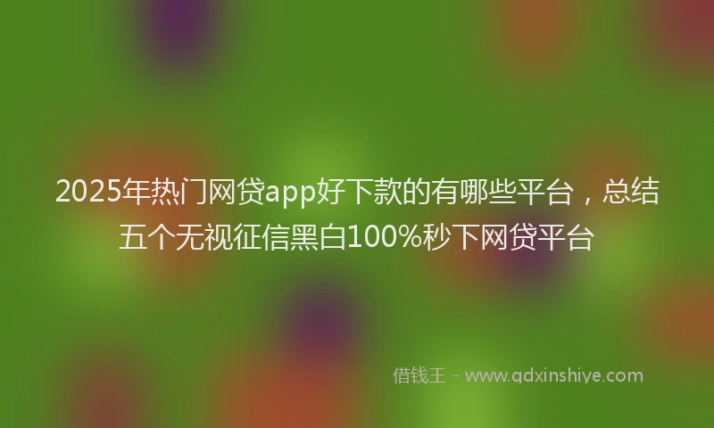 2025年热门网贷app好下款的有哪些平台，总结五个无视征信黑白100%秒下网贷平台
