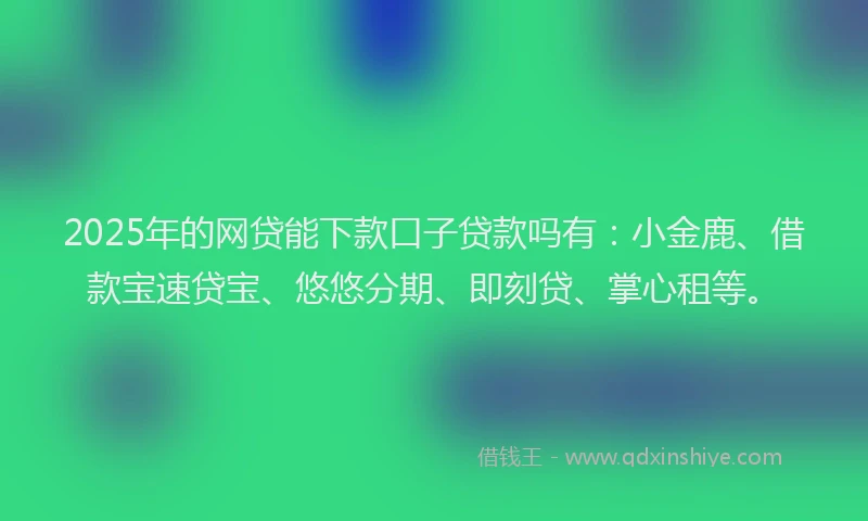 2025年的网贷能下款口子贷款吗有：小金鹿、借款宝速贷宝、悠悠分期、即刻贷、掌心租等。
