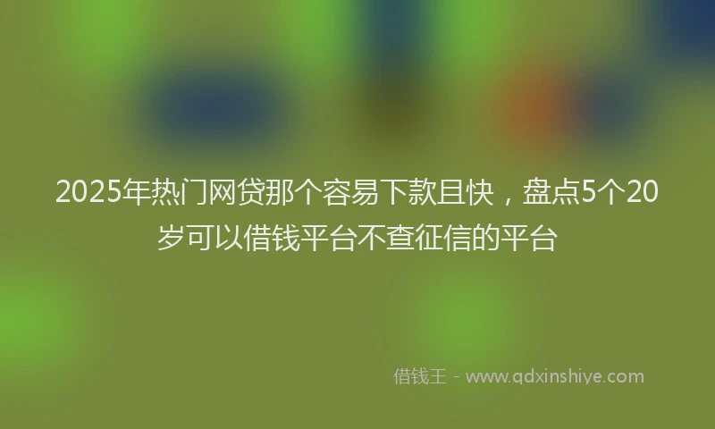 2025年热门网贷那个容易下款且快,盘点5个20岁可以借钱平台不查征信的平台
