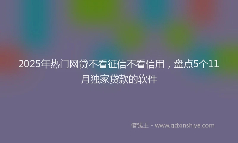 2025年热门网贷不看征信不看信用，盘点5个11月独家贷款的软件