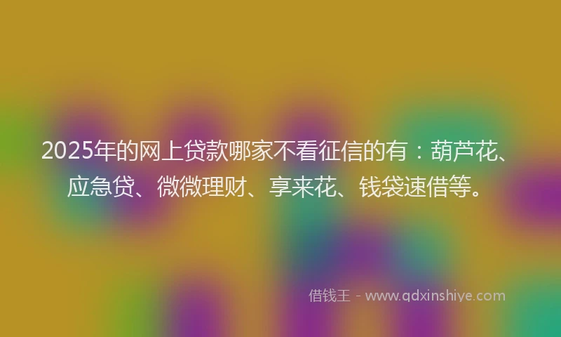 2025年的网上贷款哪家不看征信的有：葫芦花、应急贷、微微理财、享来花、钱袋速借等。
