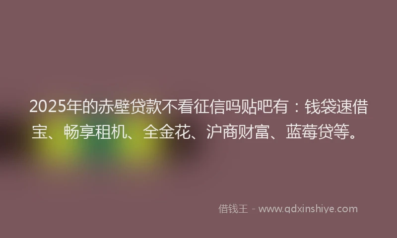 2025年的赤壁贷款不看征信吗贴吧有：钱袋速借宝、畅享租机、全金花、沪商财富、蓝莓贷等。