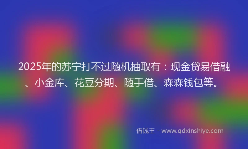2025年的苏宁打不过随机抽取有：现金贷易借融、小金库、花豆分期、随手借、森森钱包等。
