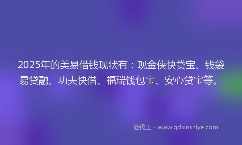 2025年的美易借钱现状有：现金侠快贷宝、钱袋易贷融、功夫快借、福瑞钱包宝、安心贷宝等。