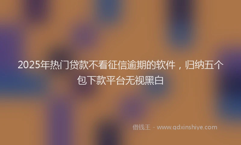2025年热门贷款不看征信逾期的软件，归纳五个包下款平台无视黑白