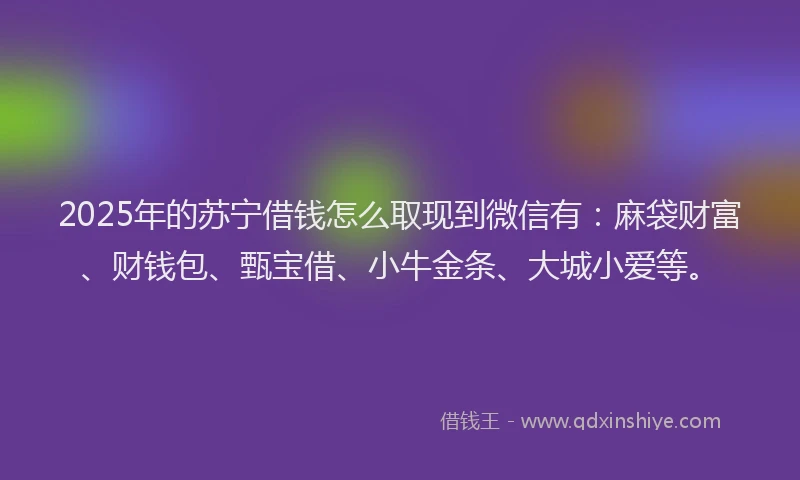 2025年的苏宁借钱怎么取现到微信有：麻袋财富、财钱包、甄宝借、小牛金条、大城小爱等。