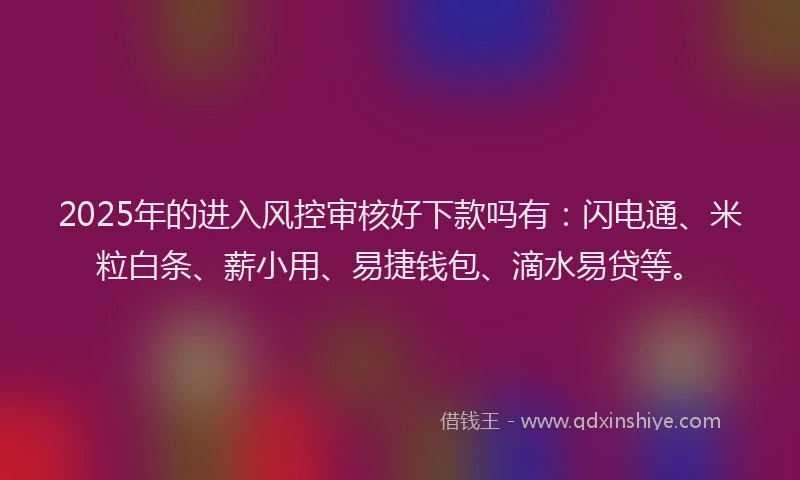 2025年的进入风控审核好下款吗有：闪电通、米粒白条、薪小用、易捷钱包、滴水易贷等。