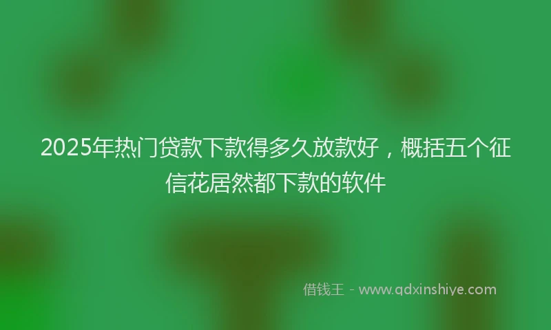 2025年热门贷款下款得多久放款好，概括五个征信花居然都下款的软件