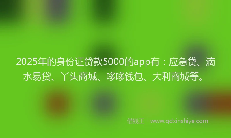 2025年的身份证贷款5000的app有：应急贷、滴水易贷、丫头商城、哆哆钱包、大利商城等。
