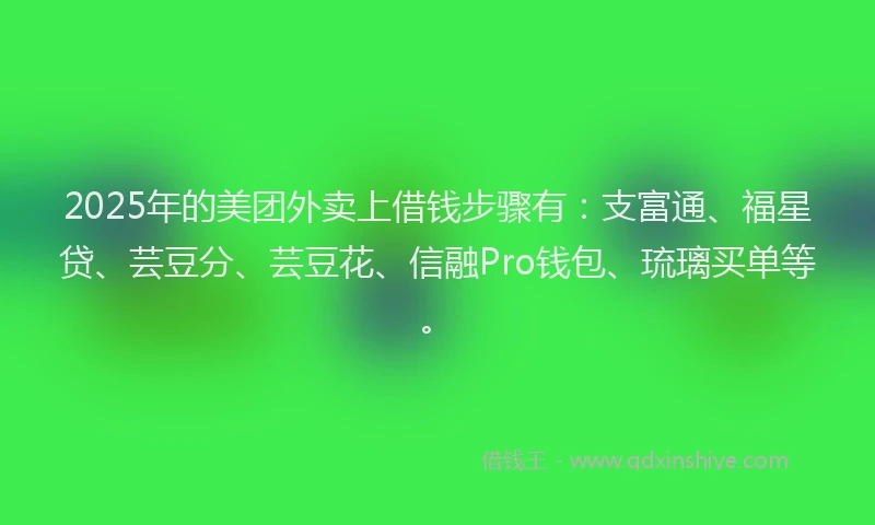 2025年的美团外卖上借钱步骤有：支富通、福星贷、芸豆分、芸豆花、信融Pro钱包、琉璃买单等。