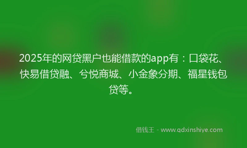 2025年的网贷黑户也能借款的app有：口袋花、快易借贷融、兮悦商城、小金象分期、福星钱包贷等。