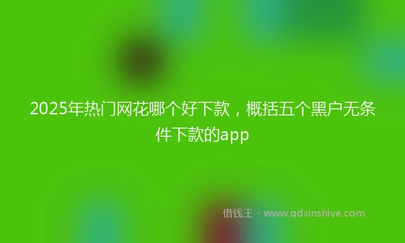 2025年热门网花哪个好下款，概括五个黑户无条件下款的app