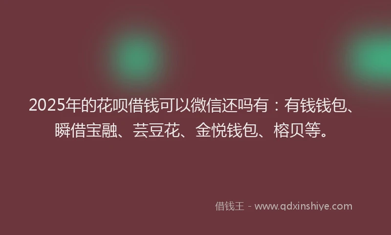 2025年的花呗借钱可以微信还吗有：有钱钱包、瞬借宝融、芸豆花、金悦钱包、榕贝等。