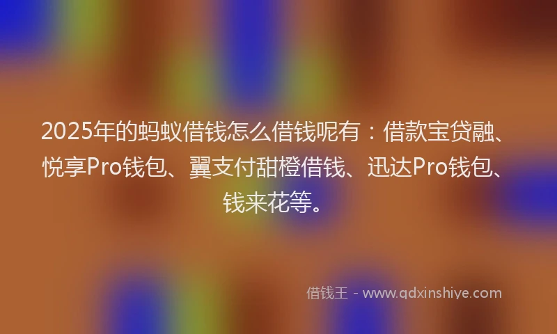 2025年的蚂蚁借钱怎么借钱呢有：借款宝贷融、悦享Pro钱包、翼支付甜橙借钱、迅达Pro钱包、钱来花等。