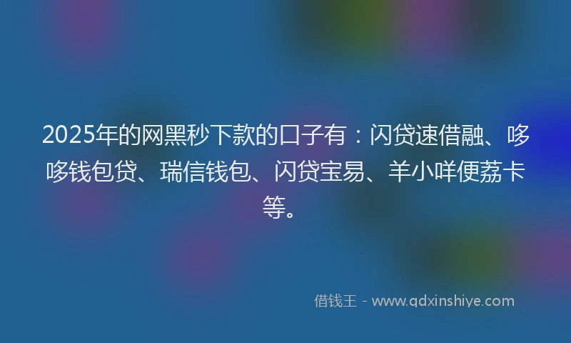 2025年的网黑秒下款的口子有：闪贷速借融、哆哆钱包贷、瑞信钱包、闪贷宝易、羊小咩便荔卡等。