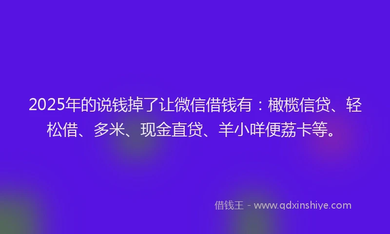 2025年的说钱掉了让微信借钱有：橄榄信贷、轻松借、多米、现金直贷、羊小咩便荔卡等。