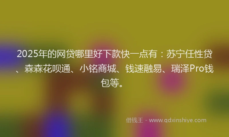 2025年的网贷哪里好下款快一点有：苏宁任性贷、森森花呗通、小铭商城、钱速融易、瑞泽Pro钱包等。