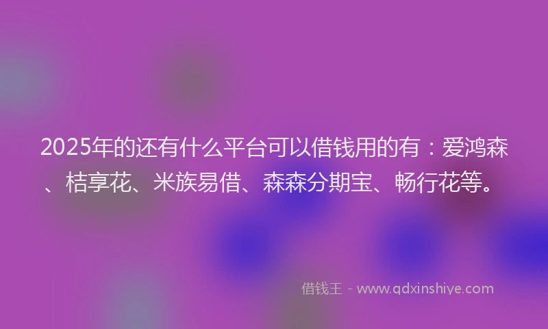 2025年的还有什么平台可以借钱用的有：爱鸿森、桔享花、米族易借、森森分期宝、畅行花等。